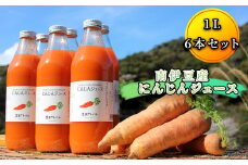 にんじんジュース（1リットル×6本入） 【 人参 ニンジン にんじん 人参ジュース ニンジンジュース にんじんジュース 健康 野菜 野菜ジュース 甘み 旨味 にんじん 】　<M-3>