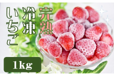 特別賞受賞！完熟冷凍いちご 1kg 【 いちご 果物 フルーツ 苺 イチゴ 冷凍 果物 フローズン くだもの 大容量 静岡県産 期間限定 】　<A-1>