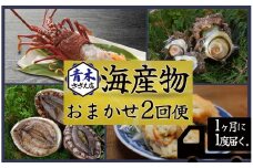 青木さざえ店の海産物おまかせ2回便　<AS-33>