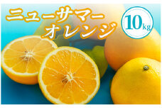 【先行予約＿2026年出荷分】湯の花 ニューサマーオレンジ　10kg箱セット　【 ニューサマーオレンジ 日向夏 みかん 果物くだもの フルーツ 旬 柑橘 静岡 甘い 新鮮 伊豆 南伊豆 】　<BC-32>