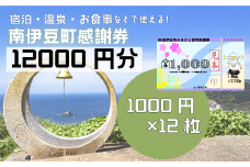 南伊豆町ふるさと寄附感謝券12枚【 伊豆 宿泊 旅行 宿 旅館 観光 グルメ 食事 アクティビティ 南伊豆 クーポン 宿泊券 ヒリゾ浜 SUP カヤック 桜 静岡 】　<BE-4>