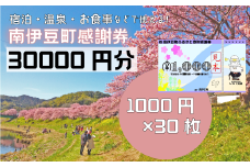 南伊豆町ふるさと寄附感謝券30枚【 伊豆 宿泊 旅行 宿 旅館 観光 グルメ 食事 アクティビティ 南伊豆 クーポン 宿泊券 ヒリゾ浜 SUP カヤック 桜 静岡 】　<BE-13>