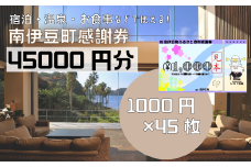 南伊豆町ふるさと寄附感謝券45枚【 伊豆 宿泊 旅行 宿 旅館 観光 グルメ 食事 アクティビティ 南伊豆 クーポン 宿泊券 ヒリゾ浜 SUP カヤック 桜 静岡 】　<BE-14>