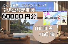 南伊豆町ふるさと寄附感謝券60枚【 伊豆 宿泊 旅行 宿 旅館 観光 グルメ 食事 アクティビティ 南伊豆 クーポン 宿泊券 ヒリゾ浜 SUP カヤック 桜 静岡 】　<BE-15>