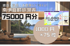 南伊豆町ふるさと寄附感謝券75枚　<BE-16>