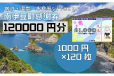 南伊豆町ふるさと寄附感謝券120枚【 伊豆 宿泊 旅行 宿 旅館 観光 グルメ 食事 アクティビティ 南伊豆 クーポン 宿泊券 ヒリゾ浜 SUP カヤック 桜 静岡 】　<BE-19>