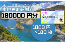 南伊豆町ふるさと寄附感謝券180枚【 伊豆 宿泊 旅行 宿 旅館 観光 グルメ 食事 アクティビティ 南伊豆 クーポン 宿泊券 ヒリゾ浜 SUP カヤック 桜 静岡 】　<BE-21>