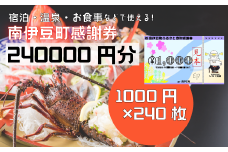 南伊豆町ふるさと寄附感謝券240枚【 伊豆 宿泊 旅行 宿 旅館 観光 グルメ 食事 アクティビティ 南伊豆 クーポン 宿泊券 ヒリゾ浜 SUP カヤック 桜 静岡 】　<BE-23>