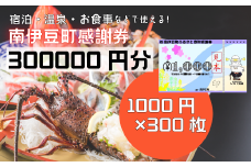 南伊豆町ふるさと寄附感謝券300枚【 伊豆 宿泊 旅行 宿 旅館 観光 グルメ 食事 アクティビティ 南伊豆 クーポン 宿泊券 ヒリゾ浜 SUP カヤック 桜 静岡 】　<BE-25>