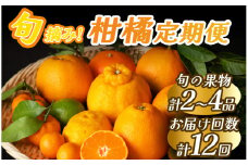 【定期便】みかんメインで贈るフルーツ12回の定期便　【 みかん 果物 春フルーツ 夏フルーツ 秋フルーツ 冬フルーツ フルーツ 旬 柑橘 甘い 新鮮 定期便 フルーツ 果物旬 柑橘 甘い 新鮮 定期便 】　<BC-62>