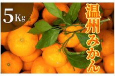 【先行予約】湯の花　季節の温州みかん5kg箱　【早生 温州 みかん 果物 果物 フルーツ 旬 柑橘 甘い 新鮮 伊豆 南伊豆 】　<BC-8>