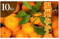 【先行予約】湯の花　季節の温州みかん10kg箱　【早生 温州 みかん 果物 果物 フルーツ 旬 柑橘 甘い 新鮮 伊豆 南伊豆 】　<BC-34>