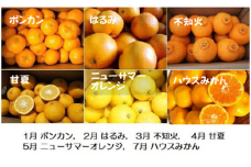 【先行予約】湯の花　旬の６種ミカン　１～７月　６回発送　<BC-56>