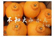 【先行予約＿2026年出荷分】湯の花　不知火5kg箱セット　【 不知火 清見 ポンカン 柑橘 果物 野菜 フルーツ 果物詰め合わせ フルーツ詰め合わせ フルーツセット 伊豆 南伊豆 】　<BC-7>