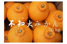 【先行予約＿2026年出荷分】湯の花　不知火10kg箱セット　【 不知火 清見 ポンカン 柑橘 果物 野菜 フルーツ 果物詰め合わせ フルーツ詰め合わせ フルーツセット 伊豆 南伊豆 】　<BC-30>