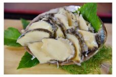 味付あわび・酒蒸しあわび　<AS-13>