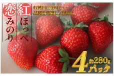 特別賞受賞！ご自宅用いちごBabyBerryFarm　280グラム以上 4パック　紅ほっぺ いちご 果物 フルーツ 苺 イチゴ くだもの 静岡県産 期間限定　<A-6>