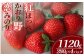 粒が大きく、満足感たっぷりです！