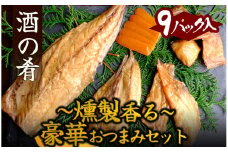 調理不要　製造元おつまみセット　【 おつまみ セット 詰め合わせ 静岡県産 伊豆 魚介類 アジ サバ  金目鯛 ぼら からすみ 日本酒 酒 肴 】　<AD-3>