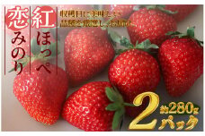 特別賞受賞！ご自宅用いちごBabyBerryFarm　280g以上　2パック　紅ほっぺ 恋みのり いちご 果物 フルーツ 苺 イチゴ くだもの 静岡県産 期間限定　<A-2>