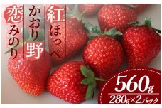 【2026年出荷分】特別賞受賞！ご自宅用いちご 280g以上 2パック　【 紅ほっぺ 恋みのり かおり野 いちご 果物 フルーツ 苺 イチゴ くだもの 静岡県産 期間限定 】　<A-2>