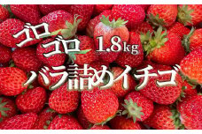 【 先行予約 _ 2024年1月以降順次配送】特別賞受賞！ゴロゴロお徳用バラ詰めいちご　<A-8>