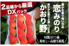 【先行予約＿2026年出荷分】完熟いちご280g 4パック（DXパック）恋みのり、かおり野から厳選　【 苺 いちご イチゴ  恋みのり かおり野 産地直送 旬 果物 フルーツ  くだもの 静岡県 伊豆 南伊豆町 期間限定 】　<AA-4>