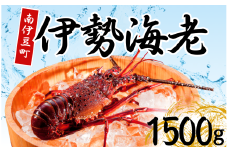 伊勢海老セット[C] 【いせえび 伊勢海老 伊勢海老 鮮魚 海老 えび 人気 名産 高級 おすすめ 数量限定 贈答 静岡県 南伊豆 伊豆 】<AG-19>