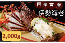 伊勢海老セット[D]　【いせえび 伊勢海老 伊勢海老 鮮魚 海老 えび 人気 名産 高級 おすすめ 数量限定 贈答 静岡県 南伊豆 伊豆 】 <AG-22>