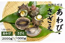 あわび・さざえセット[D]　<AG-24>