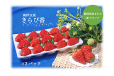 湯の花　南伊豆産『きらぴ香』　<BC-20>
