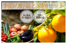 湯の花　季節の野菜と果物セット　 柑橘  果物 野菜 静岡県産 南伊豆町 おまかせ 旬 みかん やさい　<BC-82>