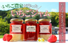 【先行予約】手作りいちごジャム3本セット（いちごジャム×1本、いちごみるくジャム×2本）【 いちご 苺 イチゴ ジャム 手作り 産地直送 果物 フルーツ 果物 くだもの 伊豆 静岡県 期間限定 】　<T-16>
