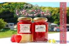 【先行予約】手作りいちごジャム2種セット【 いちご 苺 イチゴ ジャム 手作り 産地直送 果物 フルーツ 果物 くだもの 伊豆 静岡県 期間限定 】　<T-15>