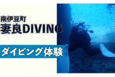 妻良 2ボートダイビング　<BQ-1>