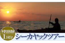 南伊豆シーカヤックツアー　体験1回分　<BT-1>