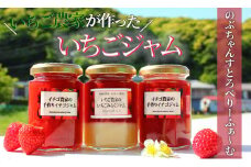 【先行予約】手作りいちごジャム3本セット（いちごジャム×2本、いちごみるくジャム×1本）【 いちご 苺 イチゴ ジャム 手作り 産地直送 果物 フルーツ 果物 くだもの 伊豆 静岡県 期間限定 】　<T-17>