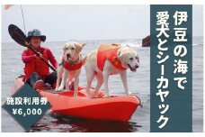 愛犬と一緒にシーカヤック 湊カフェ＆Pirates 施設利用券〈6,000円分〉　【 伊豆 アウトドア 犬 観光 カヤック 初心者 海 シーアクティビティ ふるさと納税 静岡 】　<BU-1>