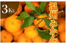 【先行予約】湯の花　季節の温州みかん3kg箱　【早生 温州 みかん 果物 果物 フルーツ 旬 柑橘 甘い 新鮮 伊豆 南伊豆 】　<BC-75>