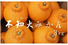 【先行予約＿2026年出荷分】湯の花　不知火3kg箱セット　【 不知火 清見 ポンカン 柑橘 果物 野菜 フルーツ 果物詰め合わせ フルーツ詰め合わせ フルーツセット 伊豆 南伊豆 】　<BC-78>
