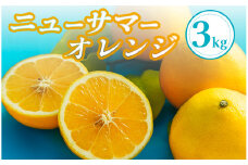 【先行予約＿2026年出荷分】湯の花 ニューサマーオレンジ 3kg【 ニューサマーオレンジ 日向夏 みかん 果物くだもの フルーツ 旬 柑橘 静岡 甘い 新鮮 伊豆 南伊豆 】　<BC-79>