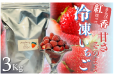 地元JA品評会金賞受賞　冷凍イチゴ3Kg　【 いちご 果物 フルーツ 苺 イチゴ 冷凍 果物 フローズン くだもの 大容量 静岡県産 期間限定 】　<AO-5>