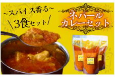 ティハールのネパールカレールーセット 2人分×3袋　【 カレー ネパールカレー カレールー カレーセット 手作り ヴィーガン アレンジ ジャスミン米 スパイス 手づくり セット 国産 レトルト 個包装 保存 贈り物 おすすめ 】　<S-2>