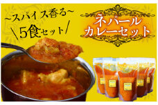 ティハールのネパールカレールーセット 2人分×5袋　【 カレー ネパールカレー カレールー カレーセット 手作り ヴィーガン アレンジ ジャスミン米 スパイス 手づくり セット 国産 レトルト 個包装 保存 贈り物 おすすめ 】　<S-3>