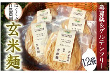 【2025年12月発送】~ 完全無農薬 ~ 『 自然栽培玄米で作った玄米麺 12袋 』 はぐくみ農園  　【 米 玄米 玄米麺 雑穀 無添加 ライスヌードル グルテンフリー 健康 無農薬 化学肥料不使用 】　<W-5>