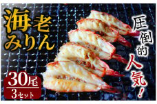 干物 旭洋丸水産 海老みりん 3セット　【 伊豆 海老 えび 海鮮 みりん干し みりん 海老みりん ブラックタイガー 大人気 無添加 冷凍 干物 手作り ひもの 静岡県産 】 　<AC-5>