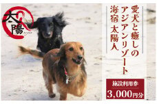 愛犬と癒しのアジアンリゾート 海宿 太陽人　施設利用券3枚　【 伊豆 宿泊 旅行 観光 宿泊券 施設利用券 宿 南伊豆 静岡 伊豆 宿泊 旅行 観光 宿泊券 宿 温泉 南伊豆 静岡 クーポン 犬 小型犬 中型犬 大型犬 ペット同伴 ペットと泊まれる 】<CL-1>