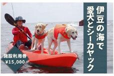 愛犬と一緒にシーカヤック 湊カフェ＆Pirates 施設利用券〈15,000円分〉　【 伊豆 アウトドア 犬 観光 カヤック 初心者 海 シーアクティビティ ふるさと納税 静岡 】　<BU-3>