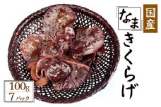 【季節限定】国産 生きくらげ 100g×7パック　【 国産 きくらげ きのこ 山菜 無農薬 】　<CR-2>