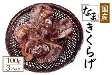 【季節限定】国産 生きくらげ 100g×3パック　【 国産 きくらげ きのこ 山菜 無農薬 】　<CR-1>